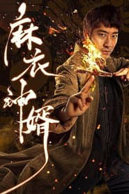 麻衣神婿
