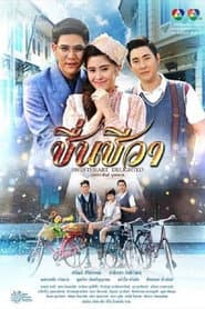 ชื่นชีวา