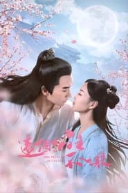 这个公主不一般