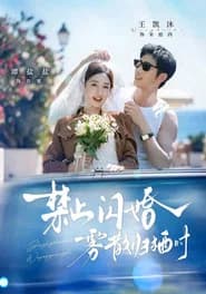 禁止闪婚，雾散归栖时