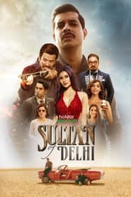 दिल्ली का सुल्तान