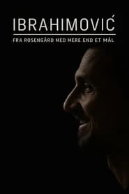 Ibrahimovic - Från Rosengård med mer än ett mål