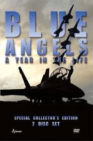 Blue Angels: A Year in the Life