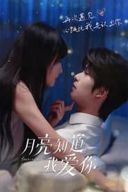 月亮知道我爱你
