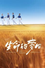 生命的麥田