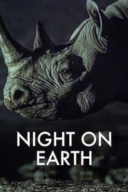 A Terra à Noite