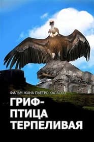 L'avvoltoio può attendere