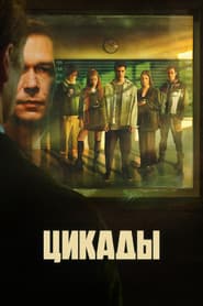 Цикады