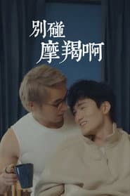 别碰摩羯啊！