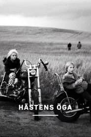 Hästens öga