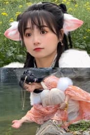 送业绩的小狐狸