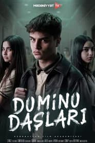 Domino daşları
