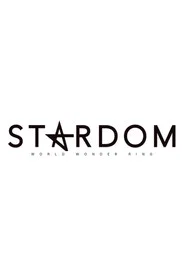 株式会社スターダム