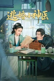 逃婚小神医