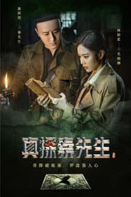真探秦先生