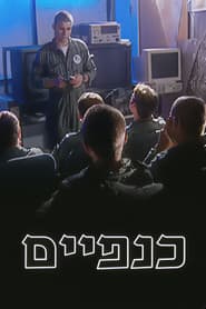 כנפיים