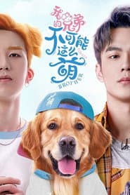 我的兄弟不可能这么萌