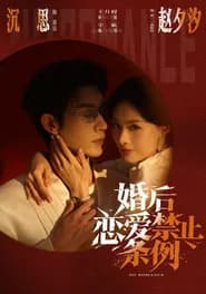 婚后恋爱禁止条例