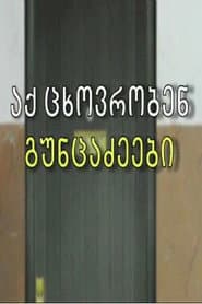 აქ ცხოვრობენ გუნცაძეები
