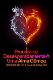 Procura-se Desesperadamente Uma Alma Gêmea: Fugindo do Twin Flames Universe