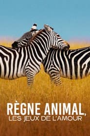 Règne animal, les jeux de l'amour