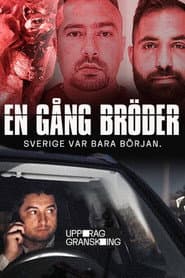 Uppdrag granskning: En gång bröder