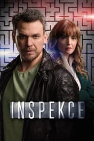 Inspekce