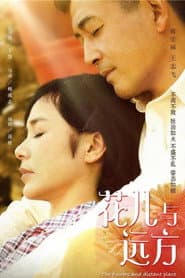 花儿与远方