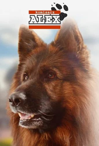 Komisarz Alex
