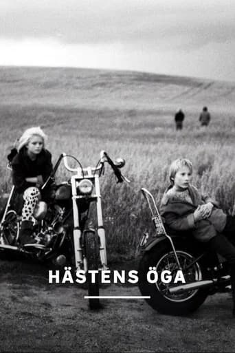 Hästens öga