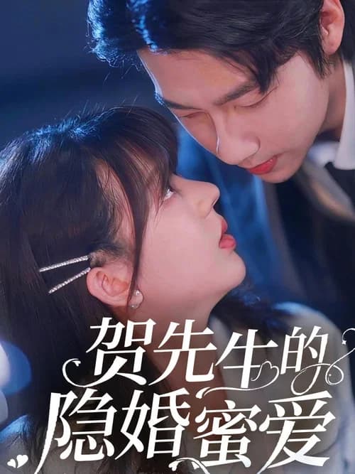 贺先生的隐婚蜜爱