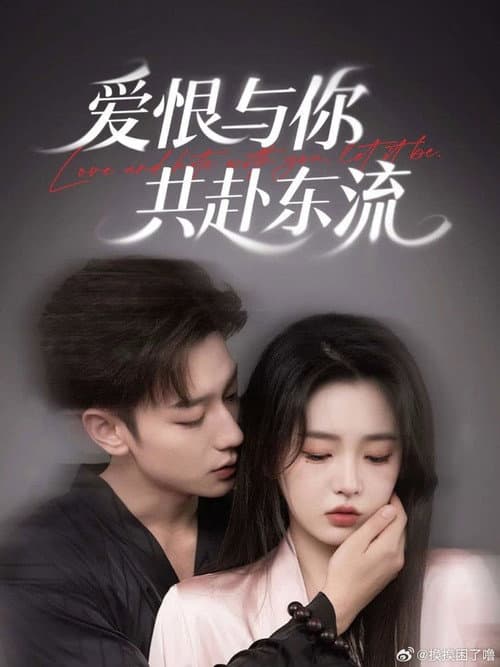 爱恨与你共赴东流