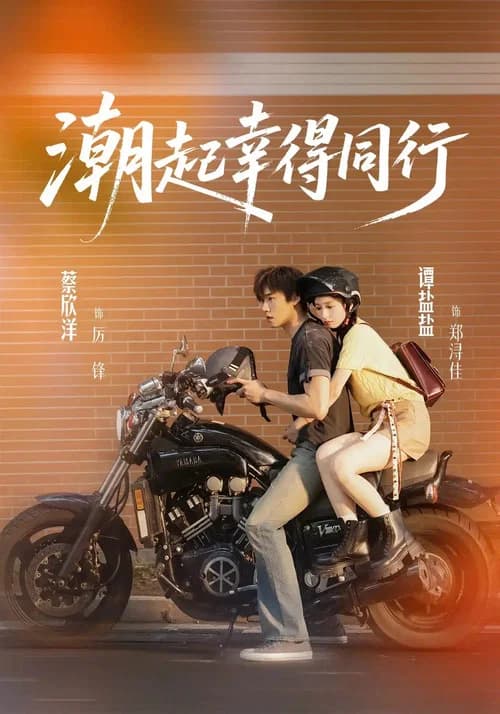 潮起幸得同行