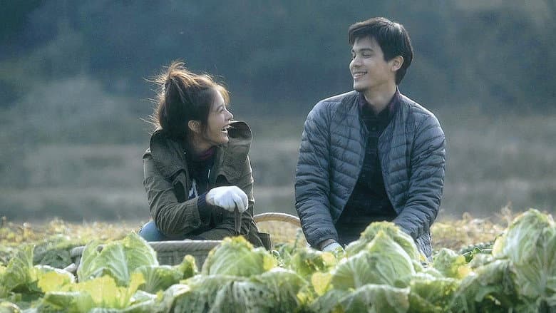 Stay: The Series
