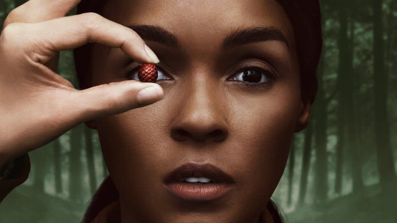 Homecoming: De Volta à Pátria