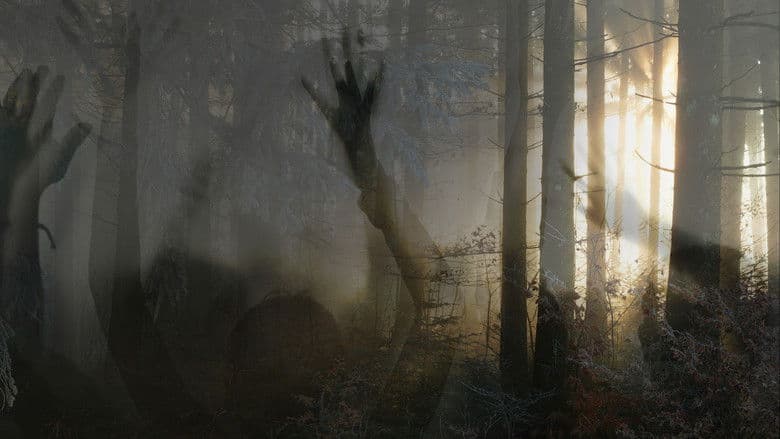 Sobrevivente Paranormal