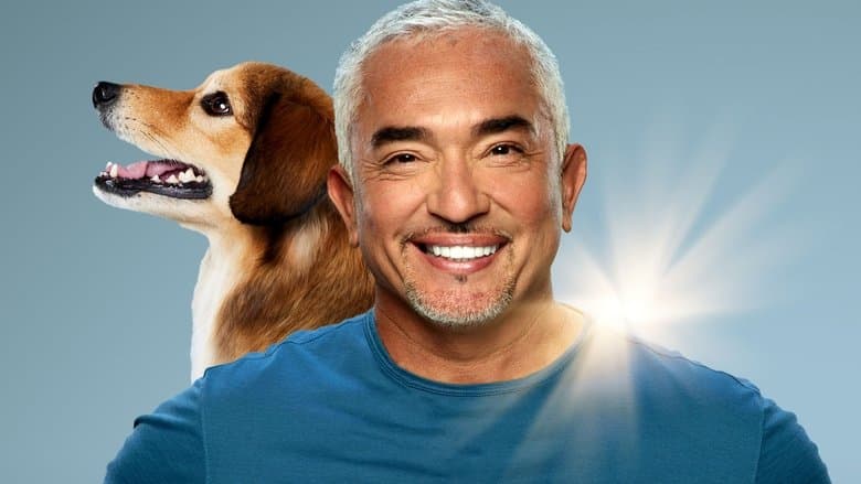 Cesar Millan: Melhores Humanos, Melhores Cachorros