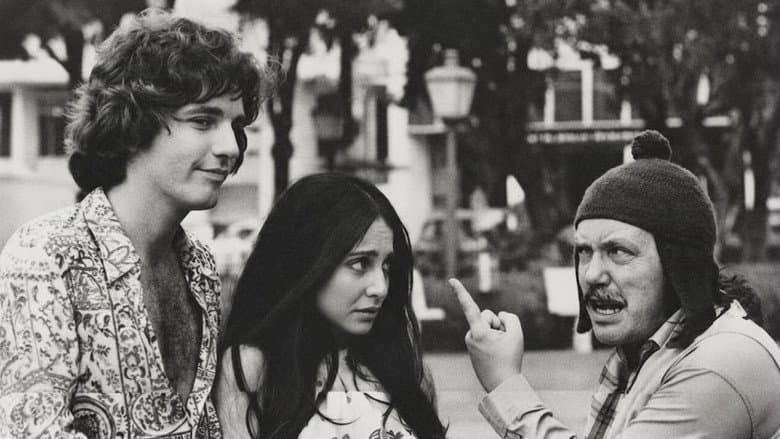 Camomila e Bem-Me-Quer