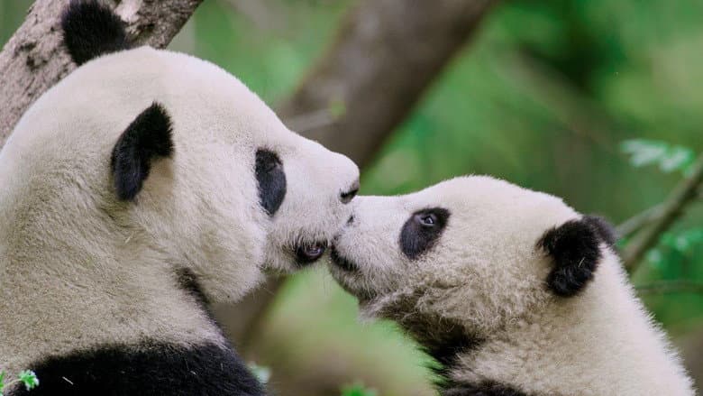 Reinos Desconhecidos da China
