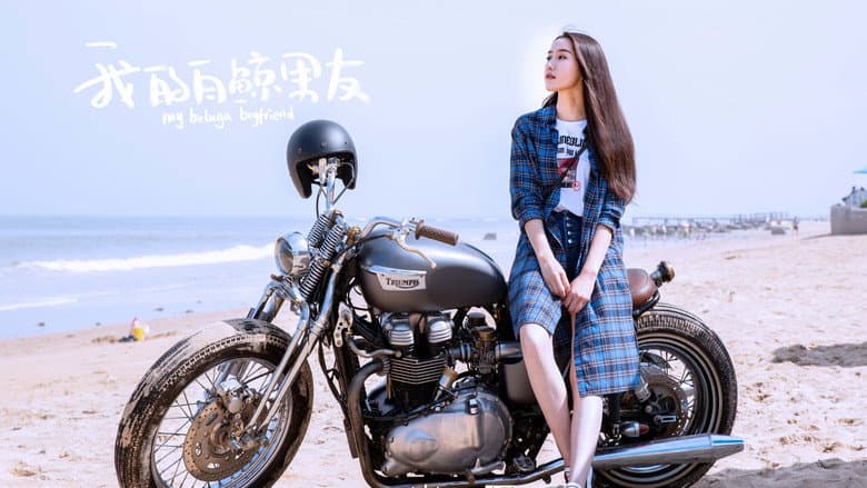 我的白鲸男友