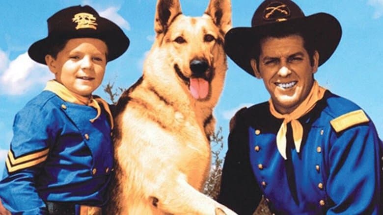 As Aventuras de Rin Tin Tin