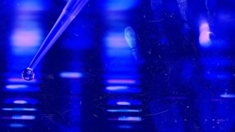 Forensic Files II