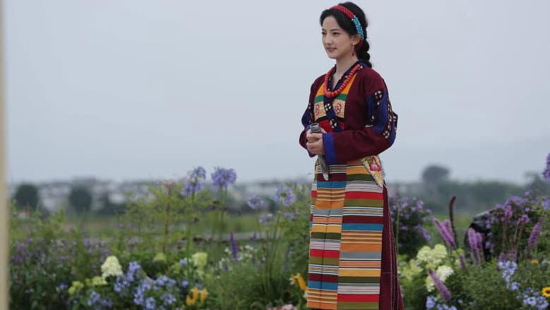 花儿绽放