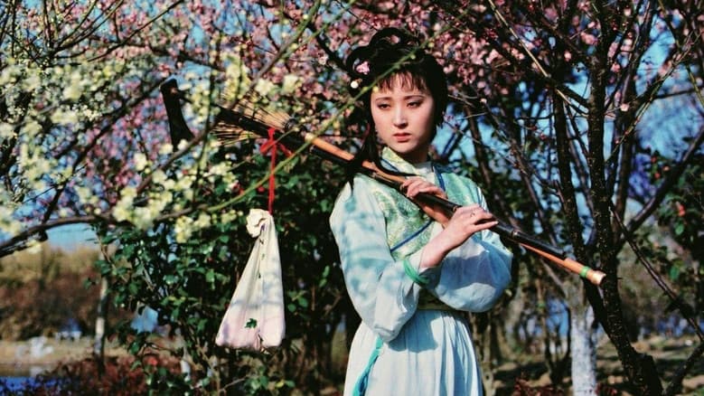 红楼梦