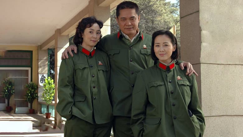 玫瑰绽放的年代