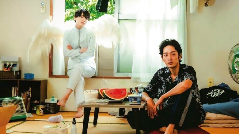 One Room Angel