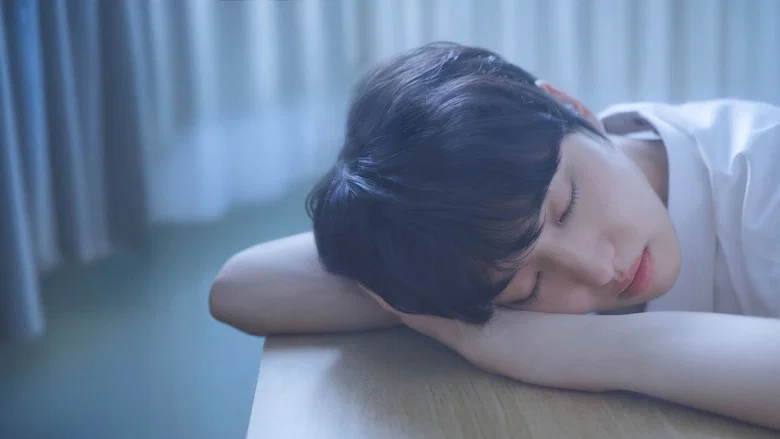 플레이미