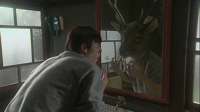 Shikaotoko Aoniyoshi