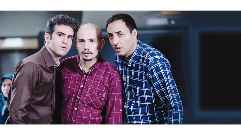 لیسانسه‌ها