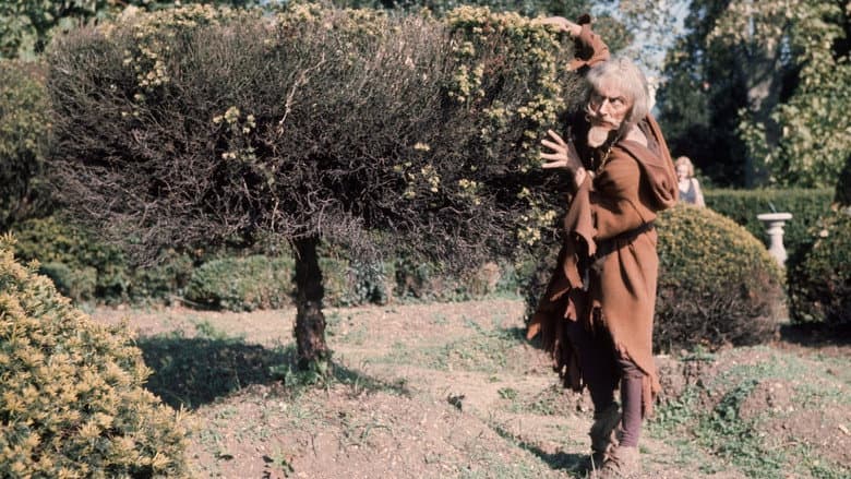 Catweazle